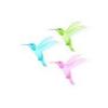 Colormorph Hummingbird