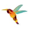 Orange Autumn Hummingbird