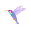 Pink Parrotfish Hummingbird