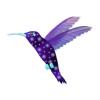Quasar Hummingbird