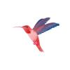Red Hummingbird