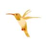Spring Bud Hummingbird