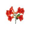 Trumpet Creeper