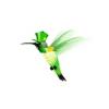 Hummingbirds