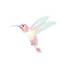 Wedding Hummingbird