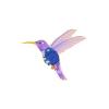 Winter Vest hummingbird