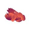 Leaf Fish