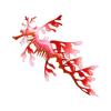 Red Leafy Sea Dragon