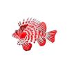 Xmas Gift Lionfish