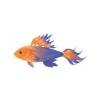 Abyss Magic Fish
