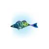 Glow Fish