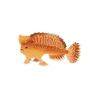 Handfish