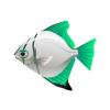 Spring Moonyfish
