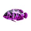 Pink Metallic Oscar