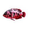Red Metallic Oscar