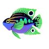 Blue Belly Parrot Cichlid