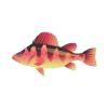 Perch