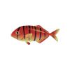 Sun Kissed Pilotfish