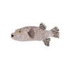 White Spotted Puffer