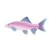 Shark Fish
