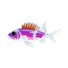 Medium Common Squirrelfish