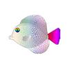Gem Tangs