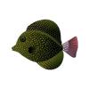 Seagreen Gem Tang