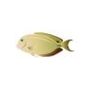 Sand Tang