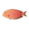 Sunset Tang