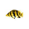 Tigerfish