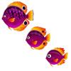 Schooling Fish