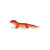 Streamside Salamander
