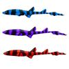 Color Changing Cat Shark