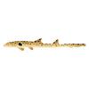 Epaulette Shark