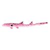 Heart Epaulette Shark