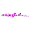 Pink Clownfish Cat Shark