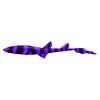 Purple Cat Shark
