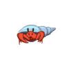 Hermit Crab
