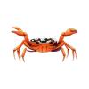 Orange Cloud Crab
