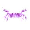 Pinchy the Polka Crab