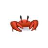 Red Crab