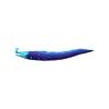 Cosmic Moray Eel