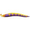 Flash Moray Eel