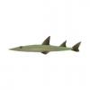 Giant Guitarfish