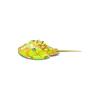 Beach Horseshoe Crab