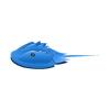 Blue Horseshoe Crab