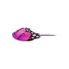 Butterfly Horseshoe Crab