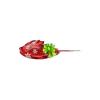 Festive Horseshoe Crab
