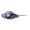 NE Horseshoe Crab