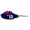 NY Horseshoe Crab